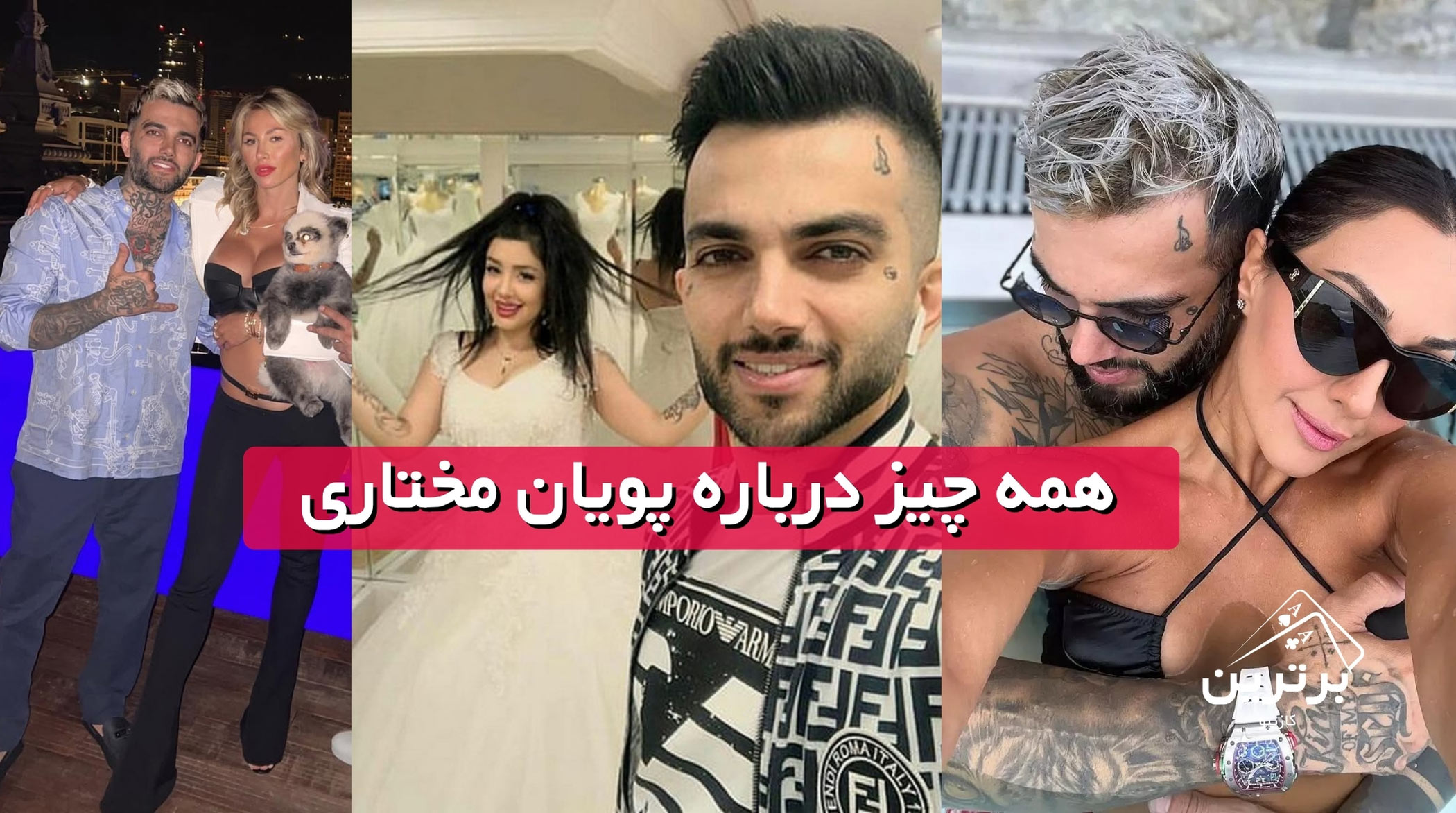 بیوگرافی پویان مختاری