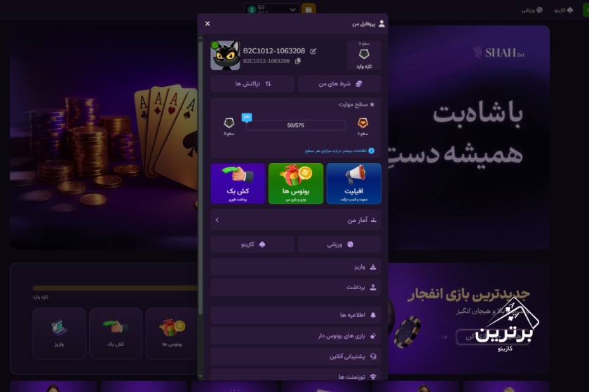 بررسی سایت شاه بت (Shahbet) 