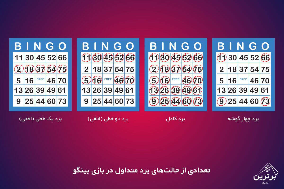 انواع برد در بینگو