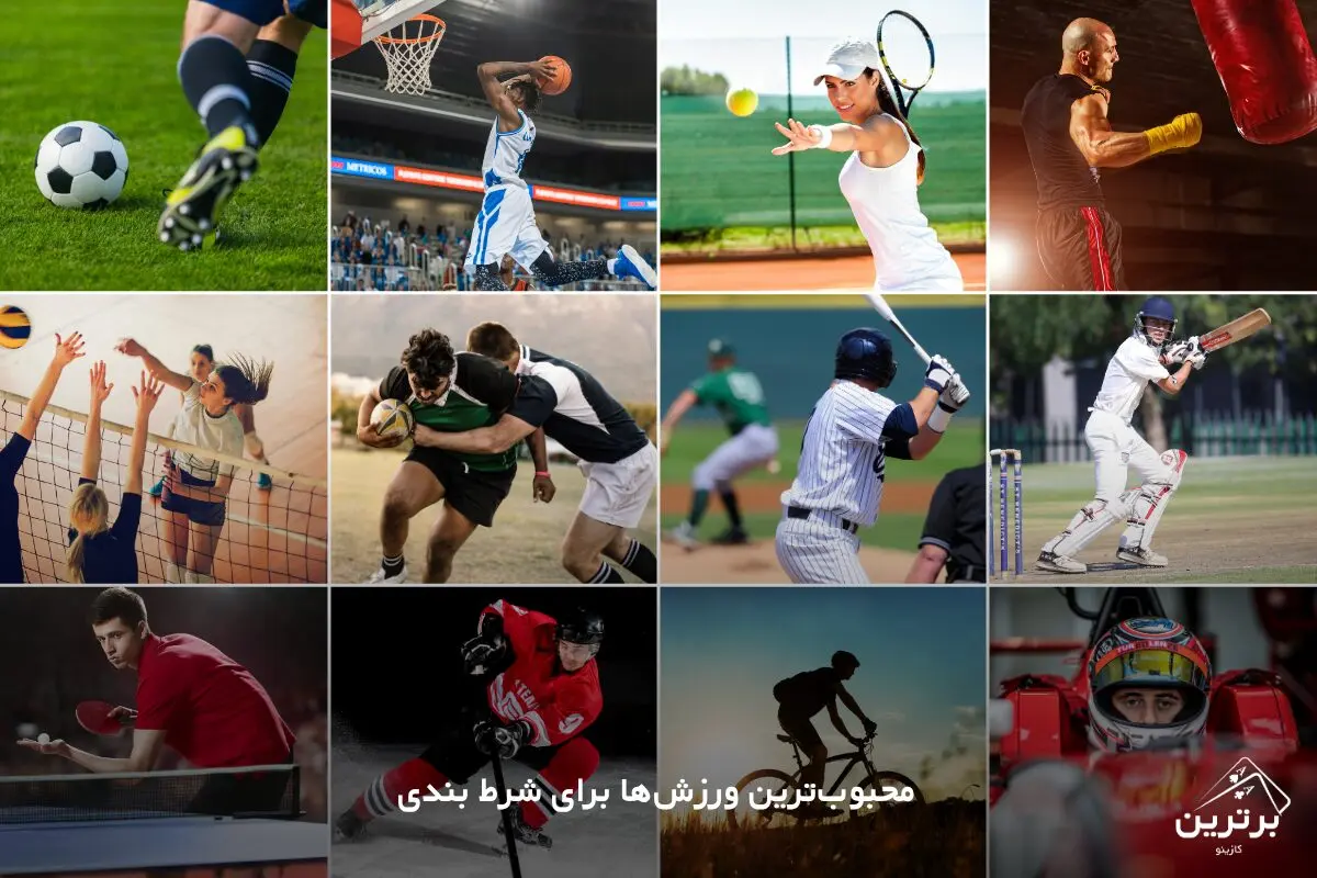 کدام ورزش‌ها برای شرط بندی در دسترس هستند؟